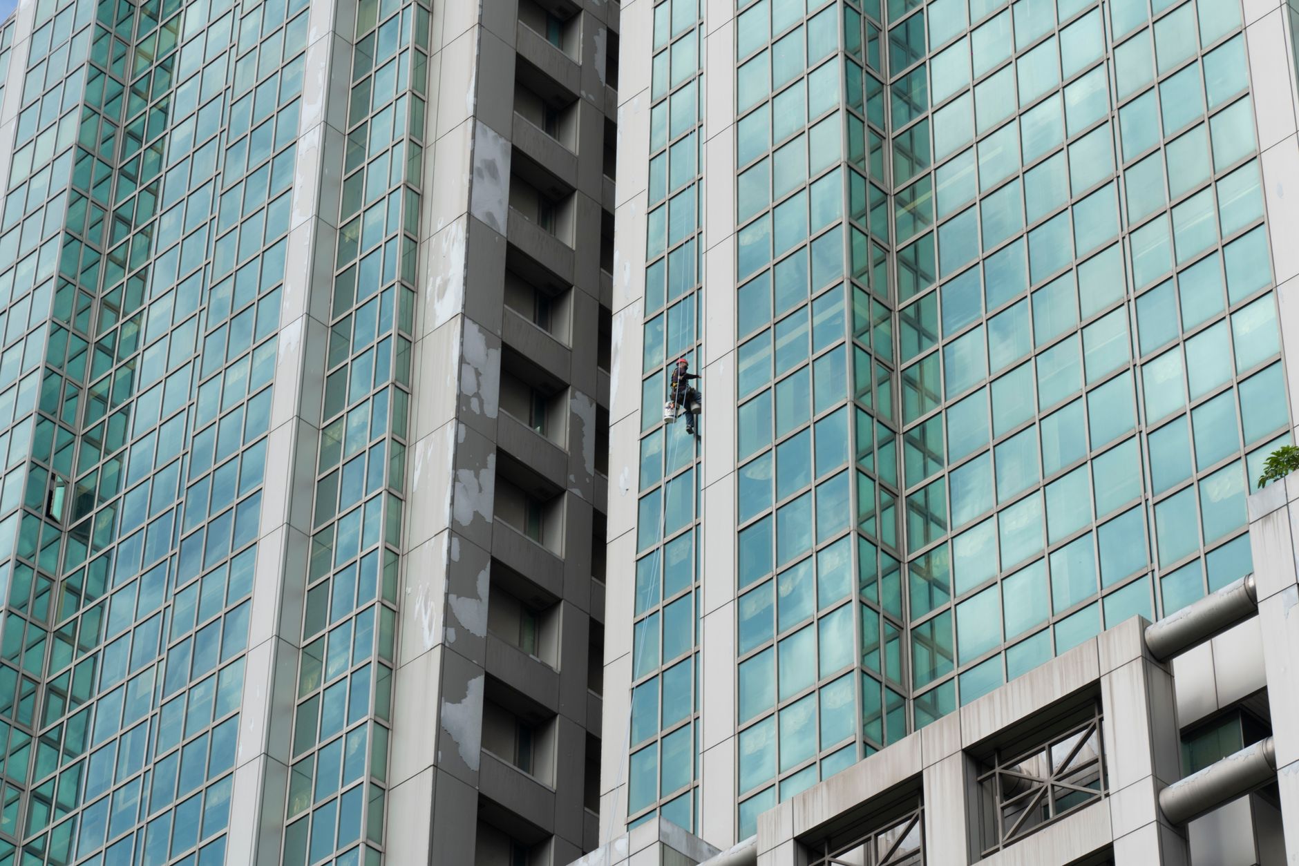 Window Cleaning